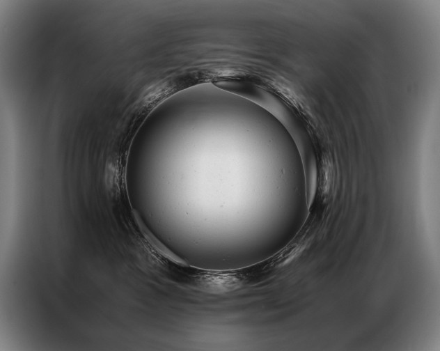 X0000087310333200704201214