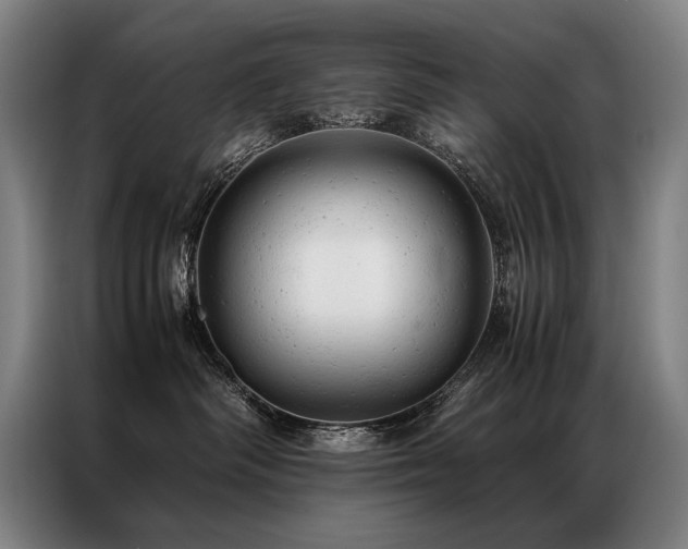 X0000087310334200704201214