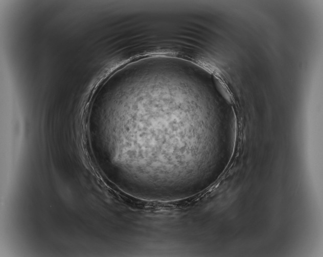 X0000087310337200704201214
