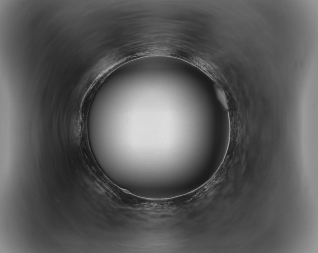 X0000087310338200704201214