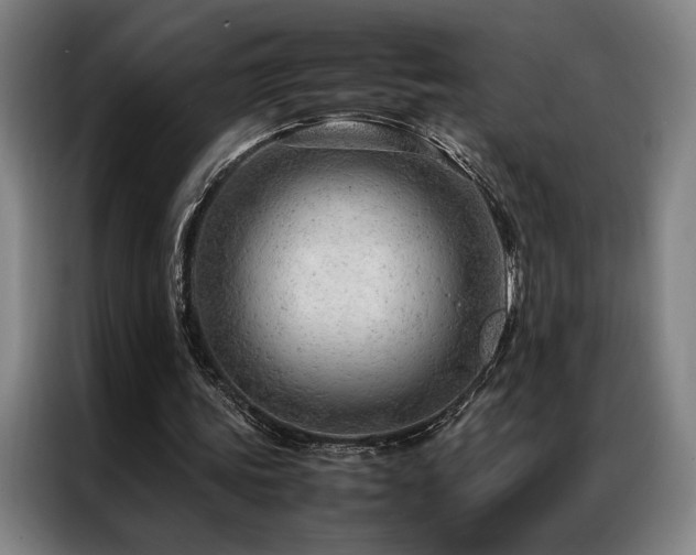 X0000087310339200704201214