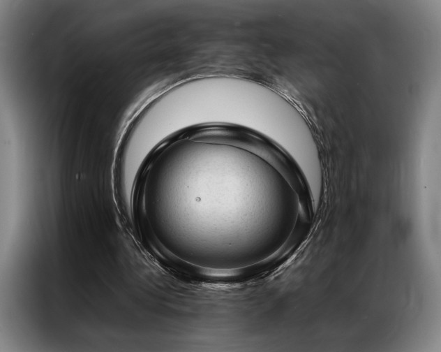 X0000087310340200704201214