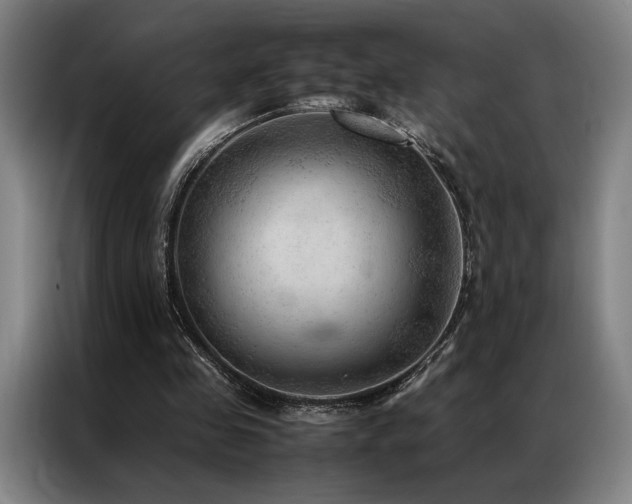 X0000087310341200704201214