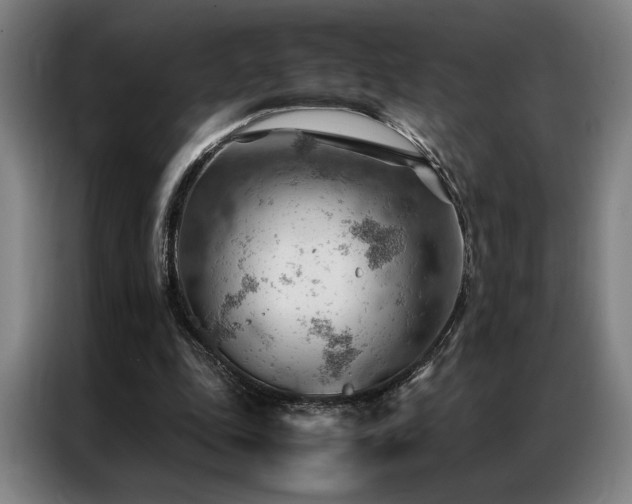 X0000087310343200704201214