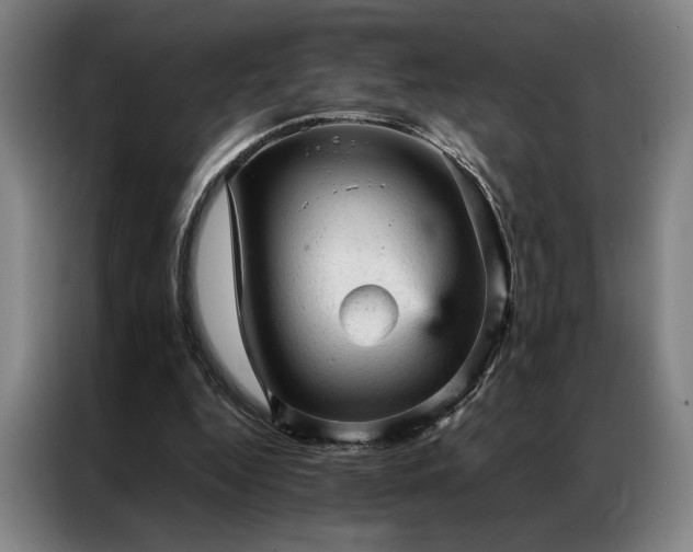 X0000087310344200704201214