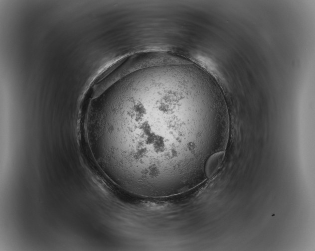 X0000087310346200704201214