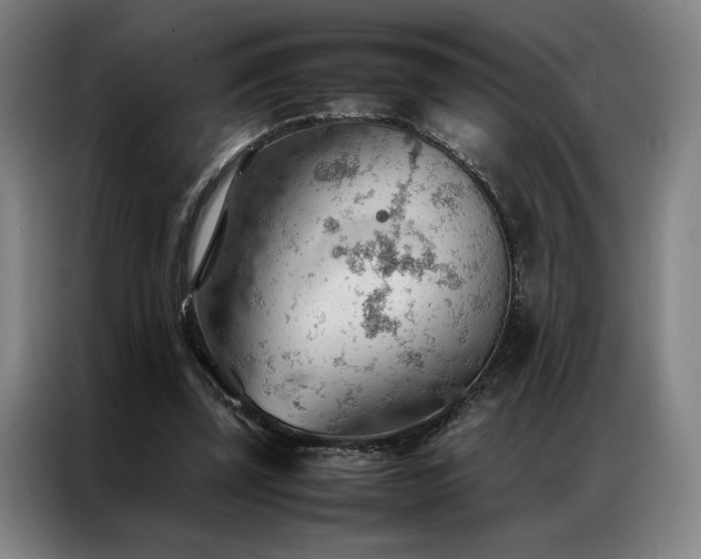 X0000087310347200704201214