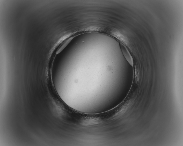 X0000087310348200704201214