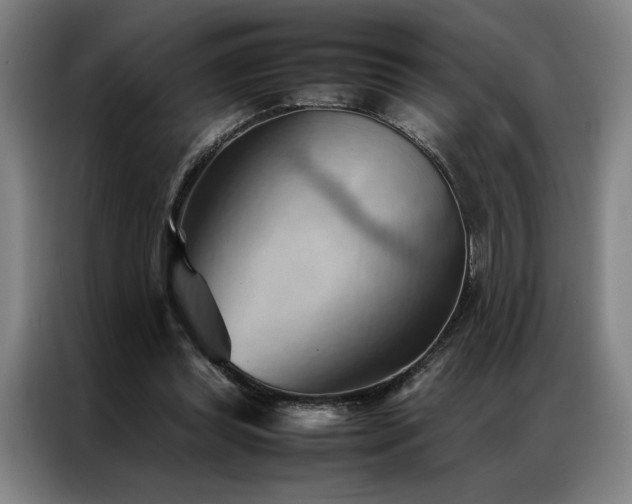 X0000087310349200704201214
