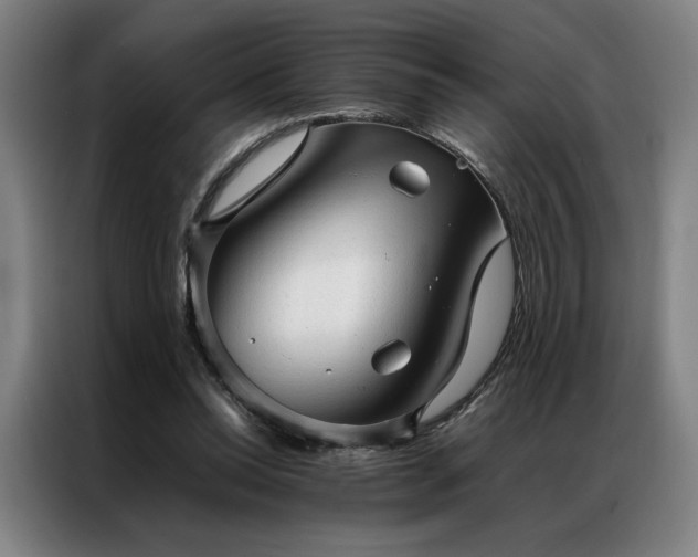 X0000087310350200704201214