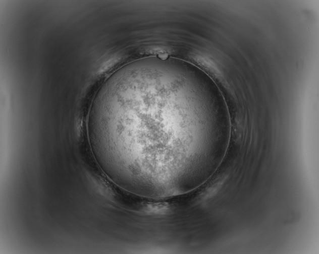 X0000087310355200704201214