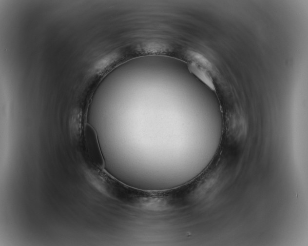 X0000087310356200704201214