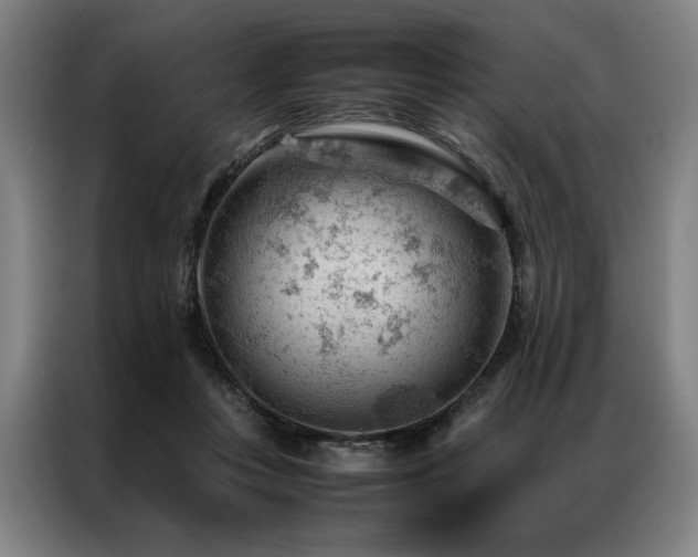 X0000087310359200704201214