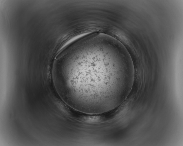 X0000087310361200704201214