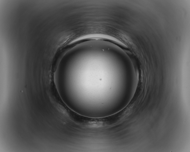 X0000087310362200704201214