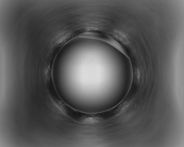 X0000087310364200704201214