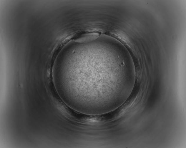 X0000087310365200704201214