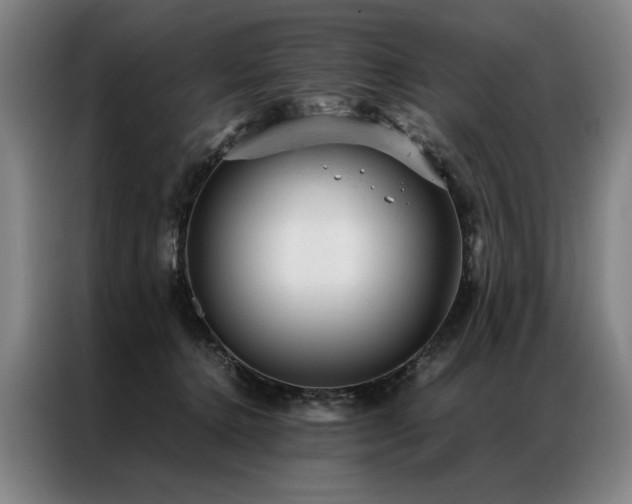 X0000087310368200704201214