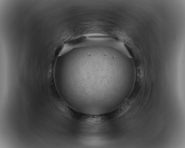 X0000087310369200704201214