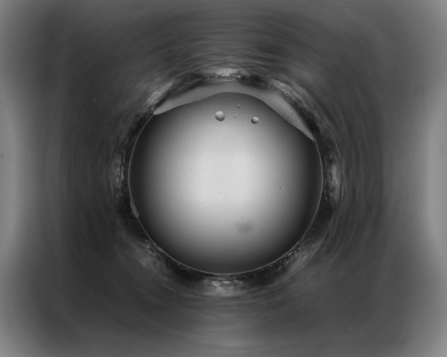 X0000087310372200704201214