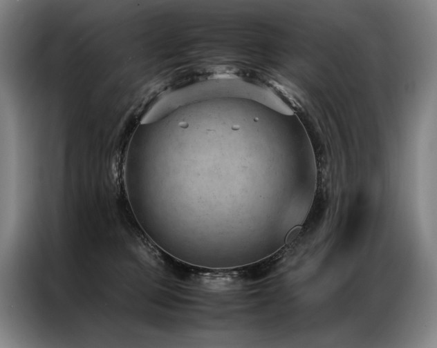 X0000087310373200704201214