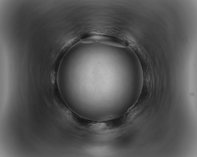 X0000087310374200704201214