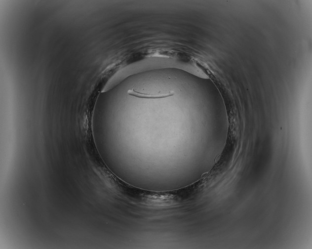 X0000087310375200704201214