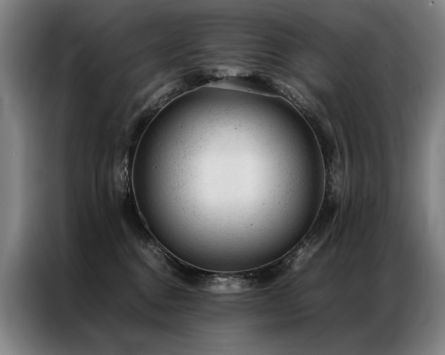 X0000087310376200704201214