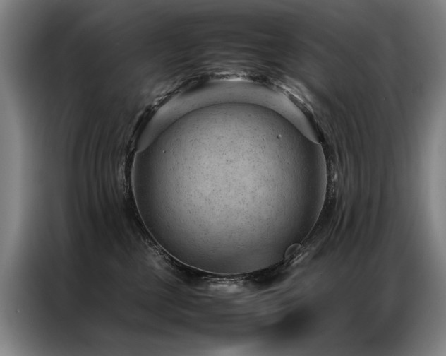 X0000087310377200704201214
