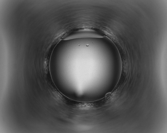 X0000087310378200704201214