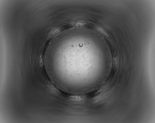 X0000087310381200704201214