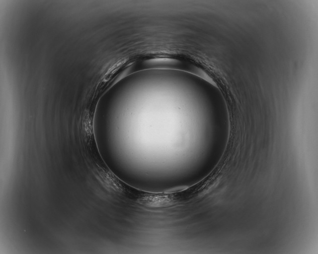 X0000087310384200704201214