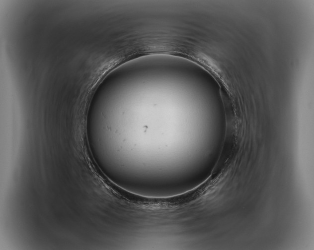 X0000087310385200704201214