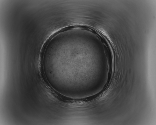 X0000087310387200704201214