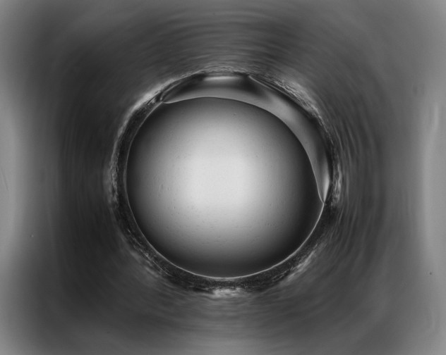 X0000087310388200704201214