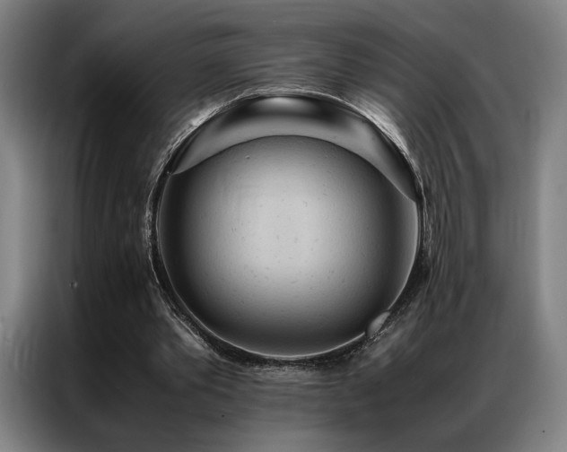 X0000087310389200704201214