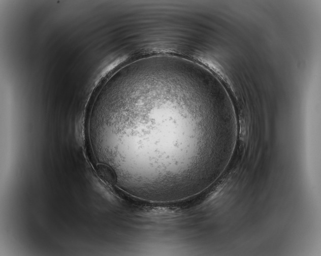 X0000087310390200704201214
