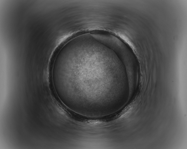 X0000087310391200704201214