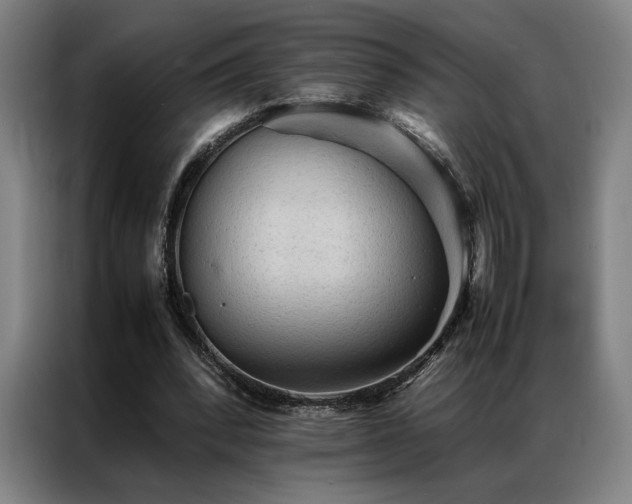 X0000087310392200704201214