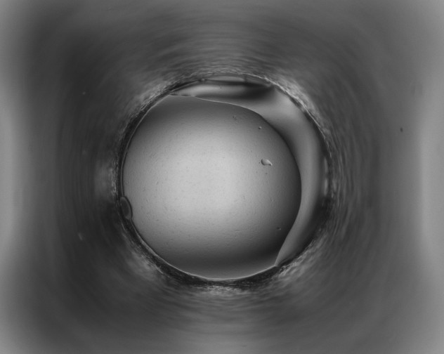 X0000087310393200704201214