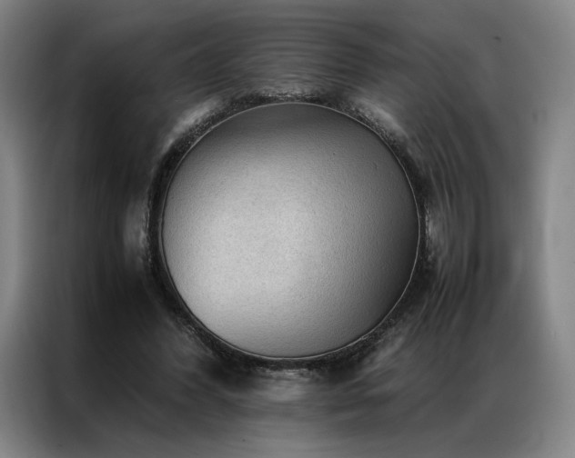 X0000087310396200704201214