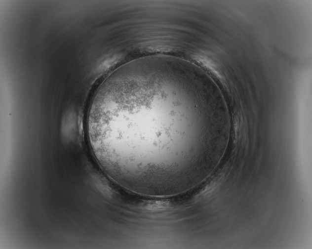 X0000087310398200704201214