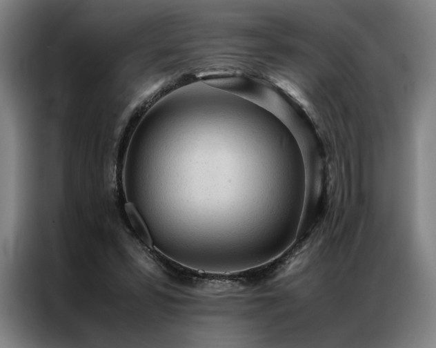 X0000087310399200704201214