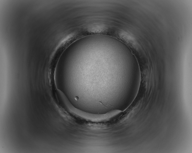 X0000087310400200704201214