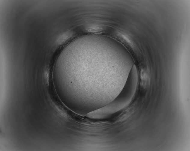 X0000087310404200704201214