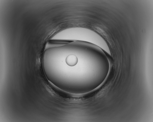 X0000087310405200704201214