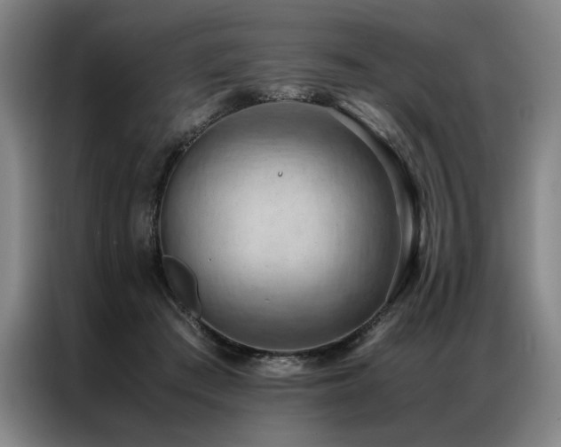 X0000087310409200704201214