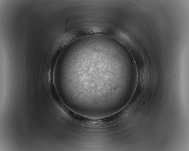 X0000087310410200704201214