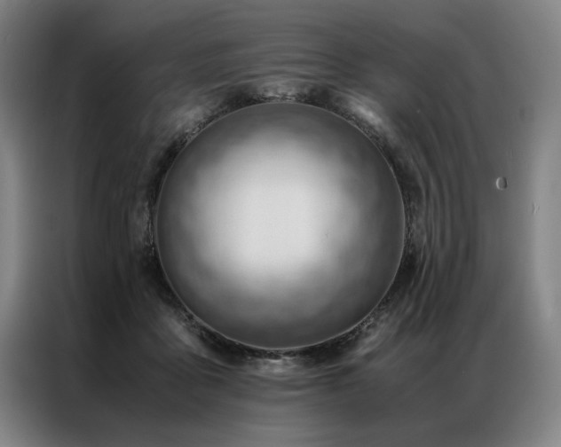 X0000087310411200704201214