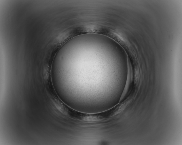 X0000087310413200704201214